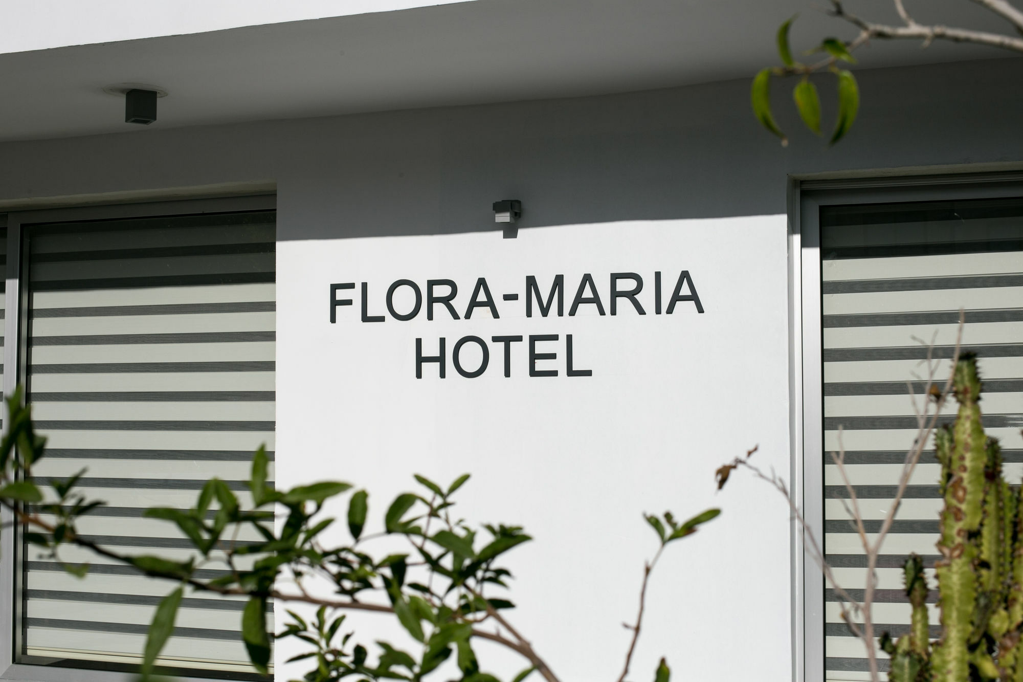 Flora Maria Hotel Ayia Napa Eksteriør billede
